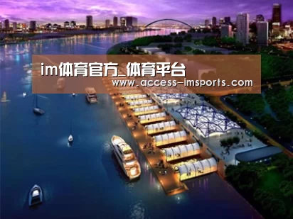 案例展示八