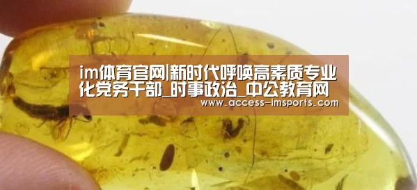 im体育官网|新时代呼唤高素质专业化党务干部_时事政治_中公教育网(图3) im体育投注